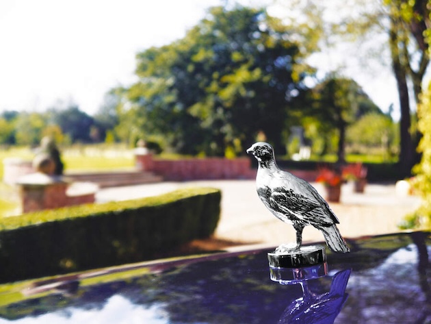 car mascot