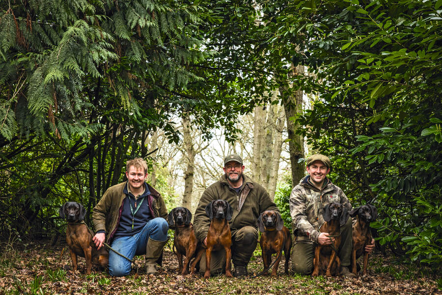 Bavarian mountain hounds with owners 