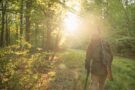 man deer stalking