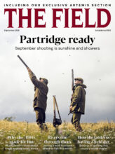 THE FIELD cover