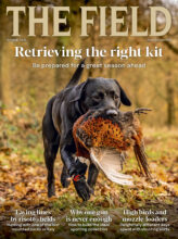 THE FIELD cover