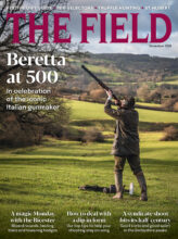 THE FIELD cover