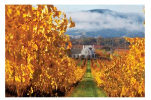 Chimney Rock Napa Valley Quiz