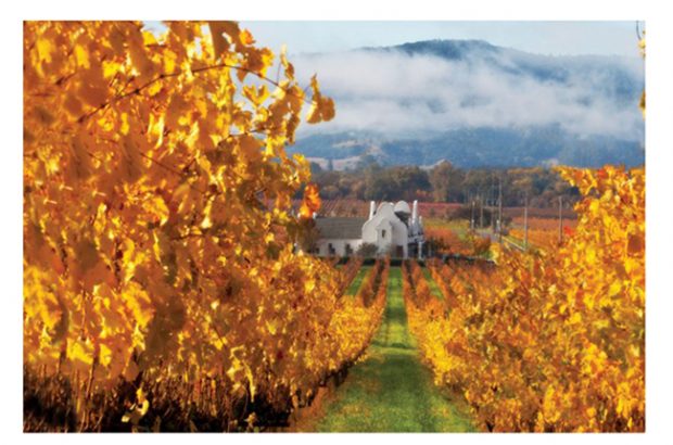 Chimney Rock Napa Valley Quiz