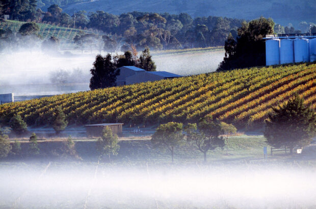 De Bortoli Yarra Valley Estate in Victoria