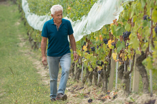 Born to Barolo: The Unshakable Vision of Roberto Voerzio
