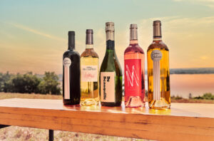 Diving into Bordeaux’s dynamic offerings