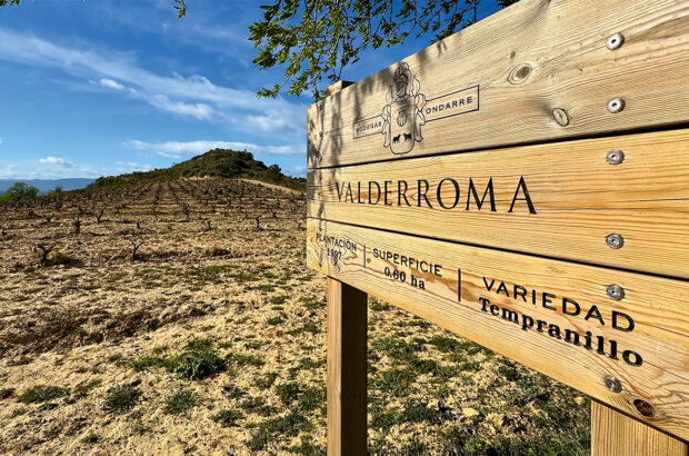 Bodegas Ondarre’s Valderroma vineyard.