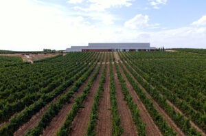 The Ramón Bilbaowinery in Rueda.