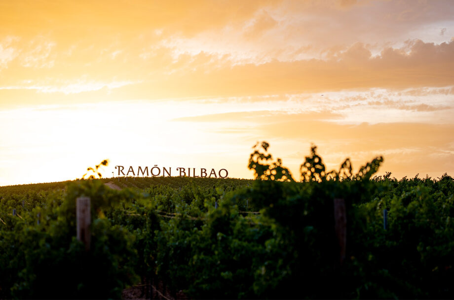 The Ramón Bilbao vineyards