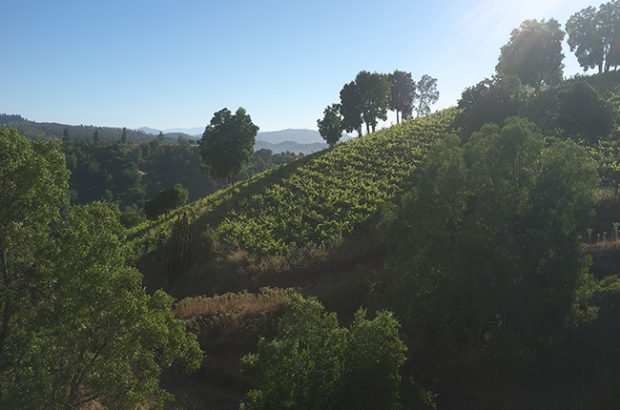 Chile - South America