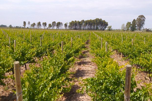 Argentina - South America