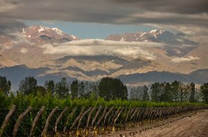 Argentina - South America