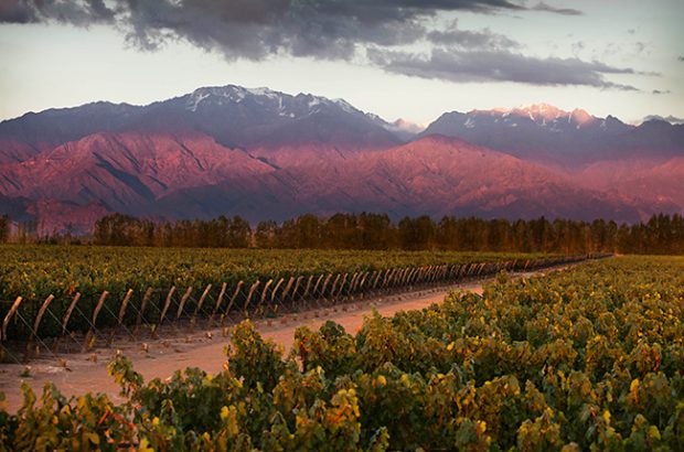 Argentina - South America