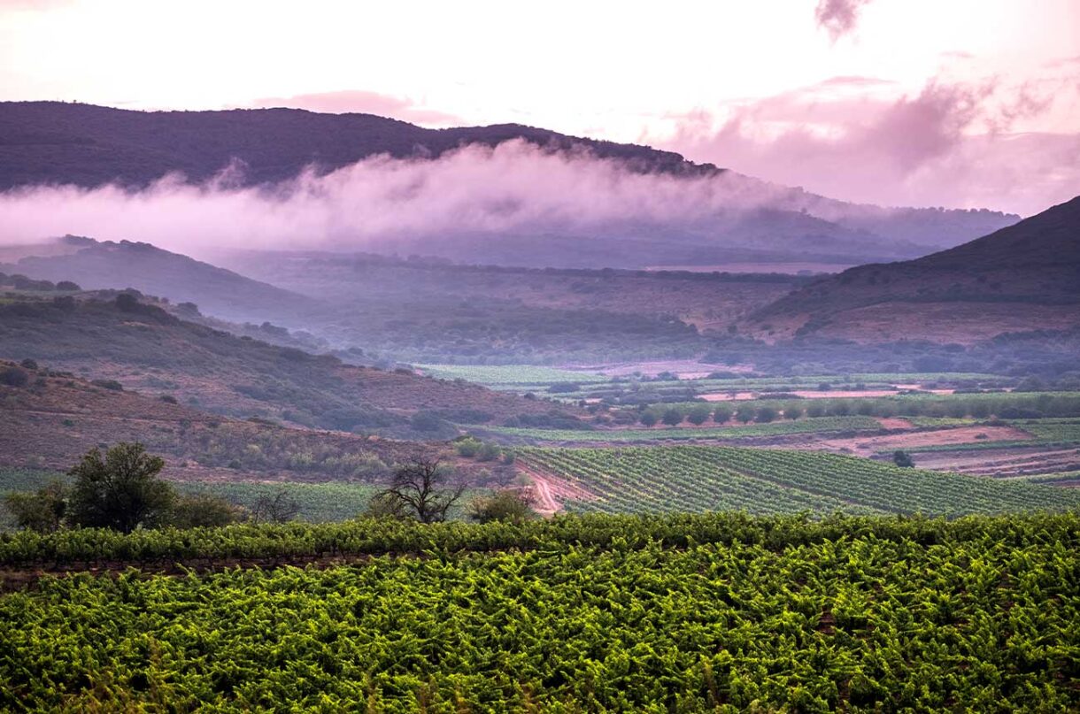 Ramón Bilbao – Celebrating 100 years - Decanter