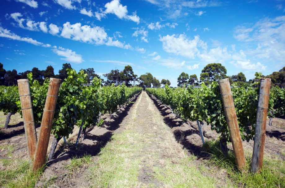 Cullen Wines