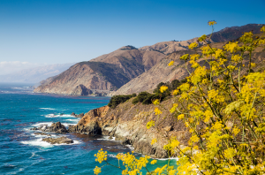 California Central Coast