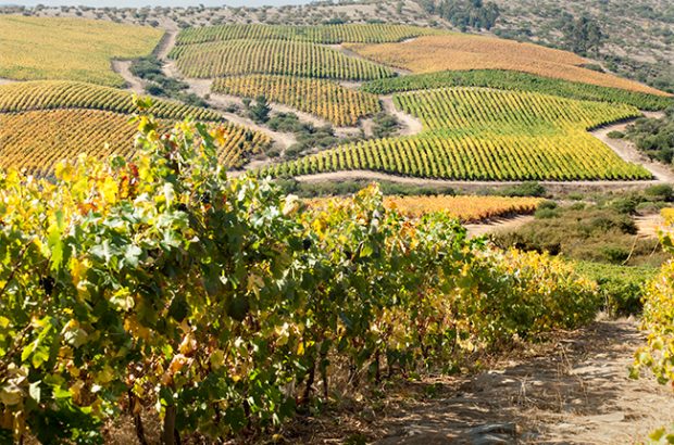 Chile - South America