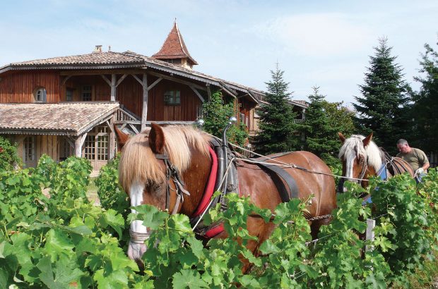 Château Smith Haut Lafitte