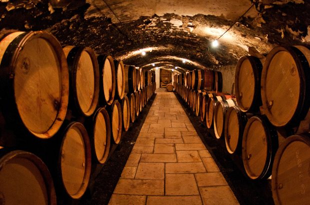 malolactic fermentation