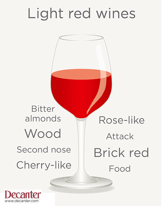 light red wine tasting note graphic