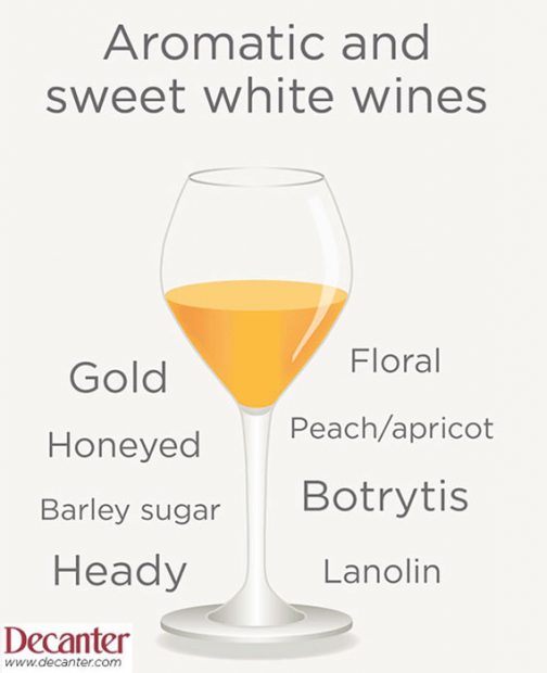 sweet wine tasting note graphic