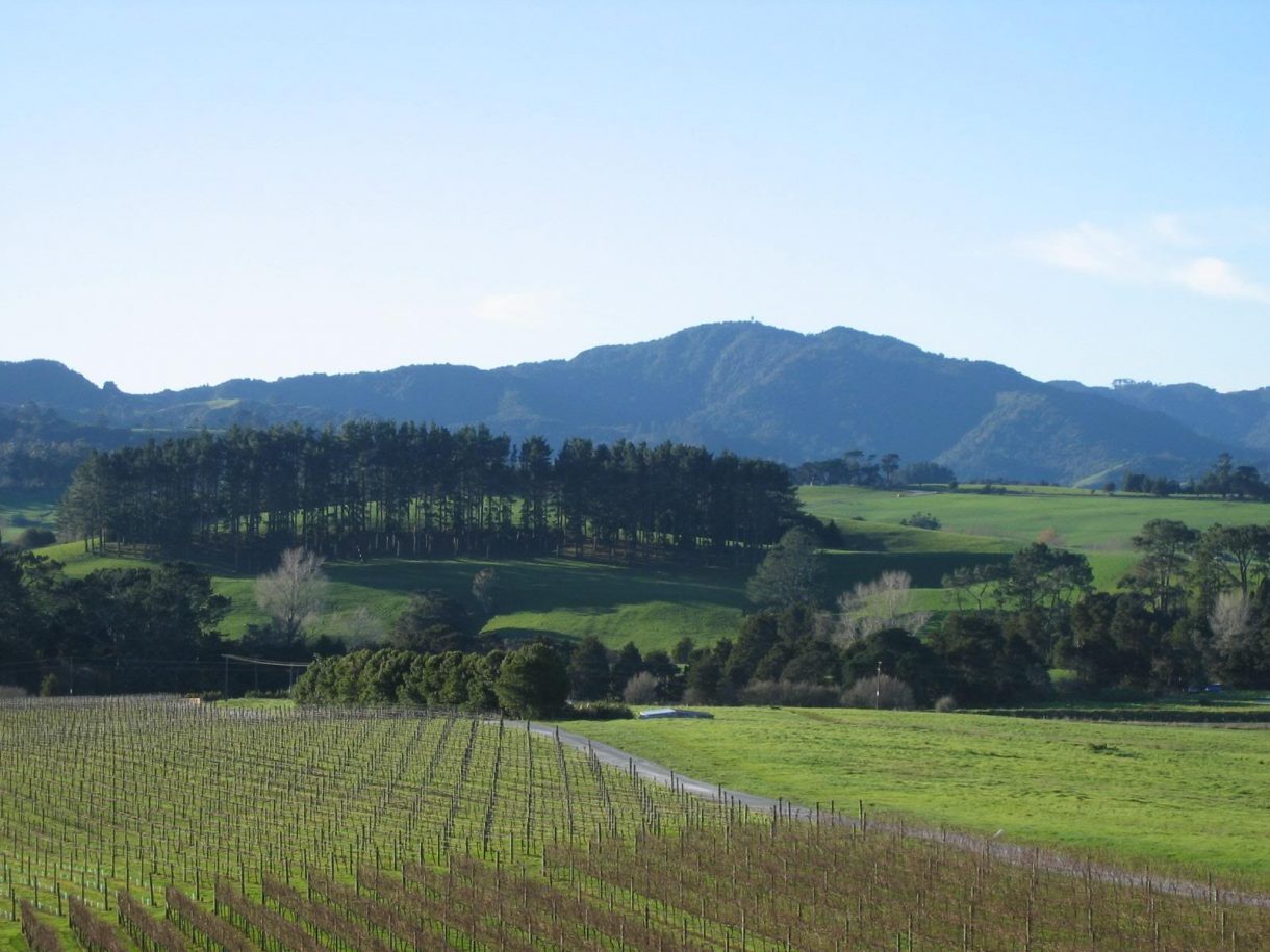 New Zealand's Matakana searches for buyer Decanter
