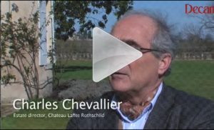 Bordeaux 2010 vineyard