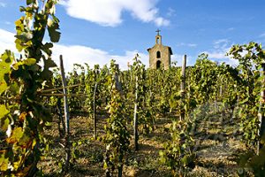 La Chapelle vineyar