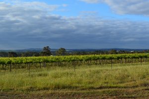 Barossa Valley