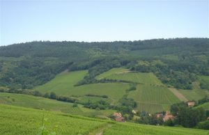 Schieferkopf, Alsace