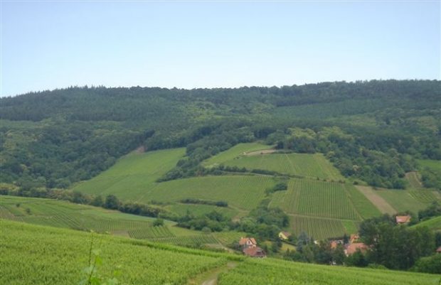 Schieferkopf, Alsace