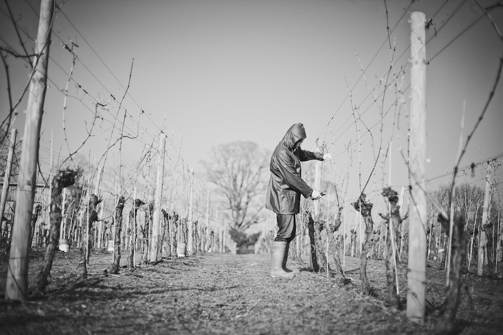 The Decanter Quiz English Wine Week Decanter