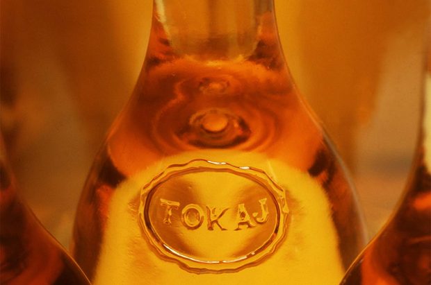 Bottle of Tokaji