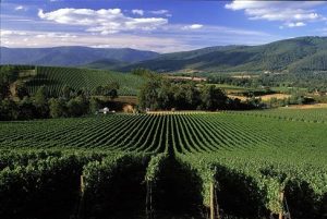 Australia Yarra Valley