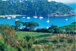 Provence travel guide