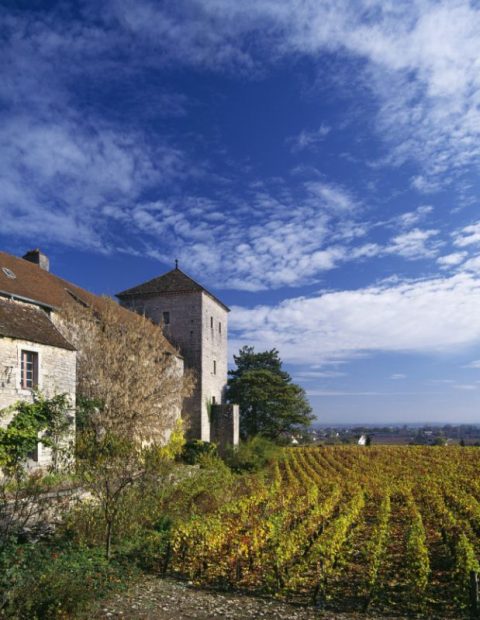 Chateau Gevrey Chambertin