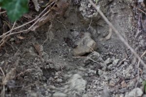 Reader trip Piedmont Weekend