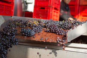 Reader trip Piedmont Weekend