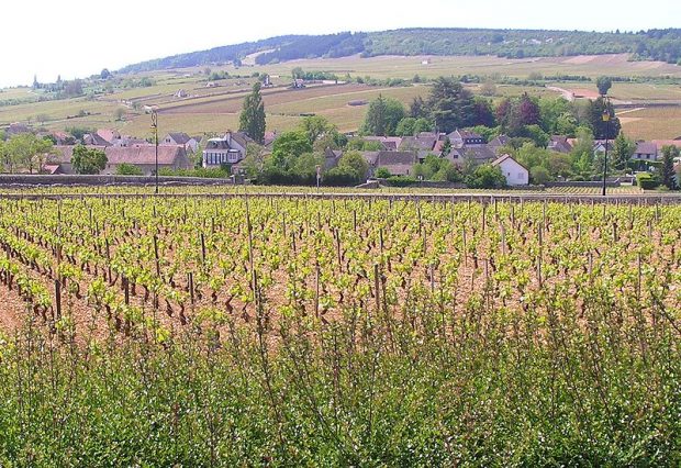 Meursault