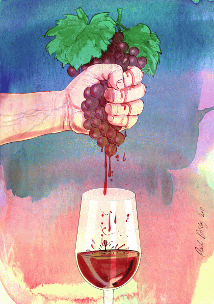 Natural wines illustration