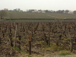 Bordeaux 2012 En Primeur, Bordeaux 2012