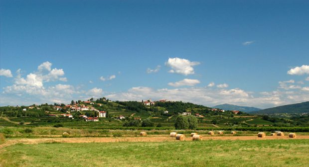 Collio