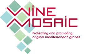 Wine Mosaic