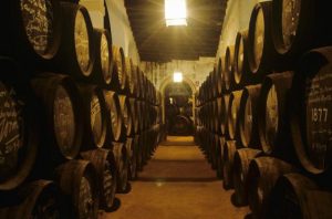 Gonzalez Byass barrel room