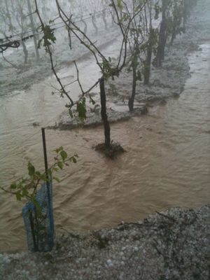 Hail in Burgundy 2013