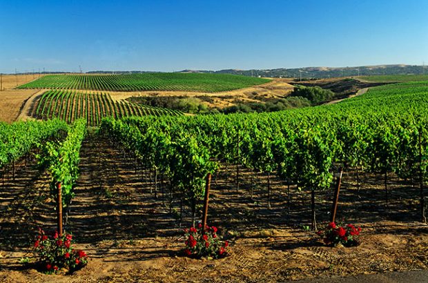 Santa Barbara travel guide