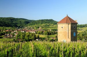 Jura travel guide: Arbois and its vineyards