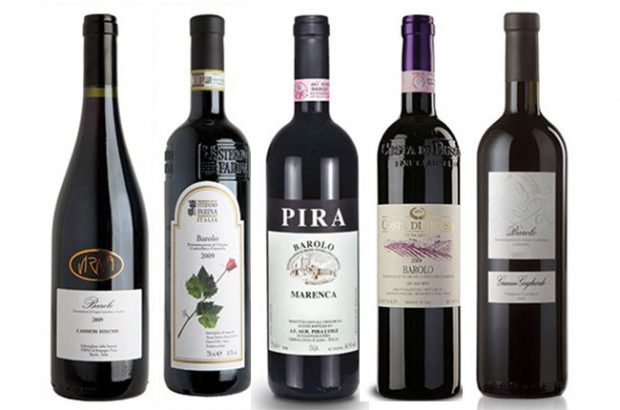 Barolo 2009 : Panel Tasting