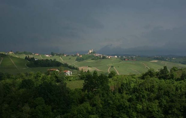 Barolo